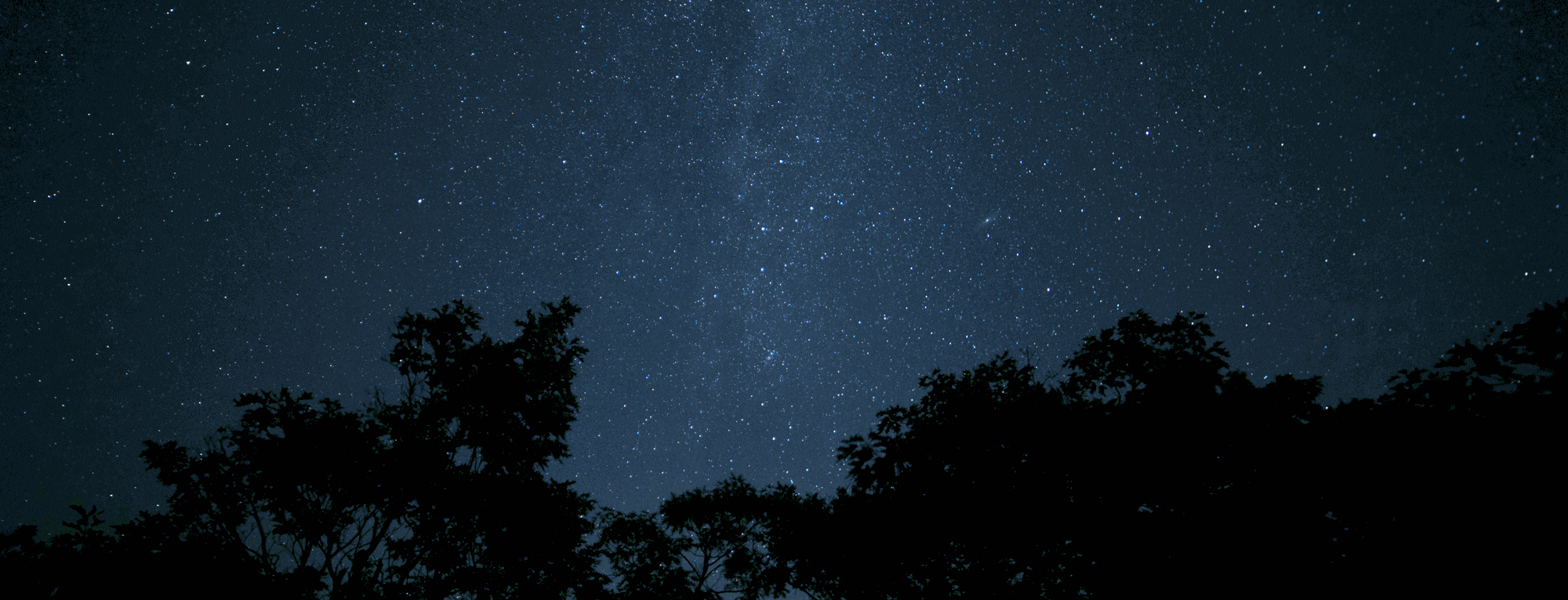 Školská fotografia